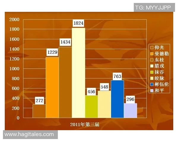 缅甸最新战况今日动态分析及未来局势展望